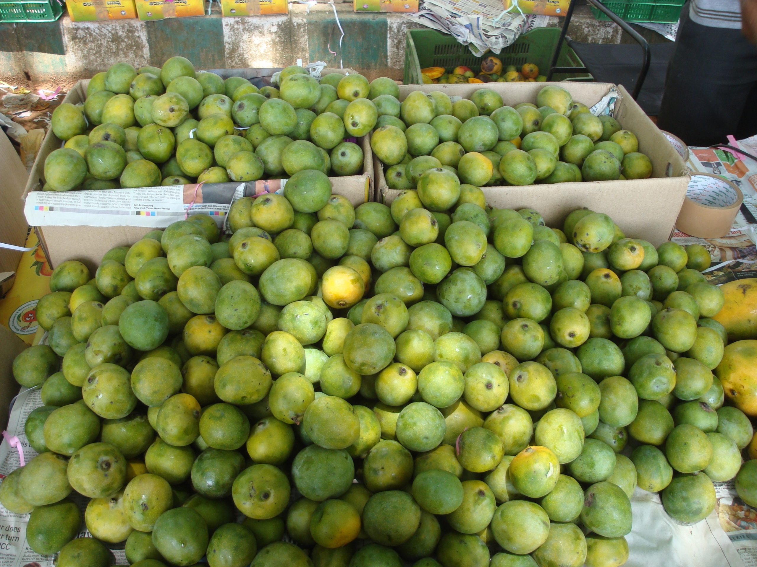 mango mela