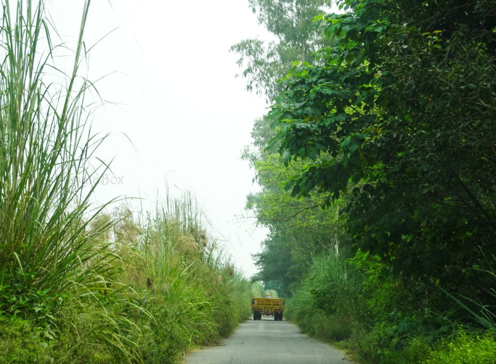 Rural Punjab village