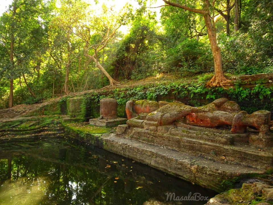 Sheshshaiya Bandhavgarh